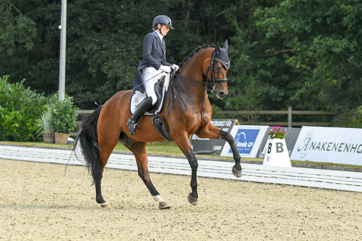 Anakenenhof    Dressur  25.08.2023 | Anakenenhof Prfg 1_048 