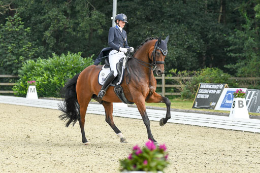 Anakenenhof    Dressur  25.08.2023 | Anakenenhof Prfg 1_051 