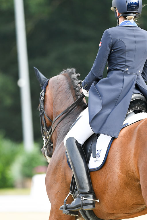 Anakenenhof    Dressur  25.08.2023 | Anakenenhof Prfg 1_053 