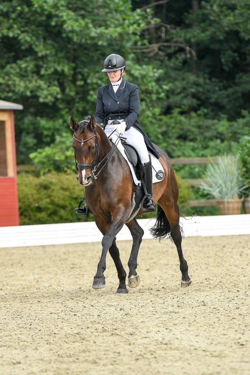 Anakenenhof    Dressur  25.08.2023 | Anakenenhof Prfg 1_058 