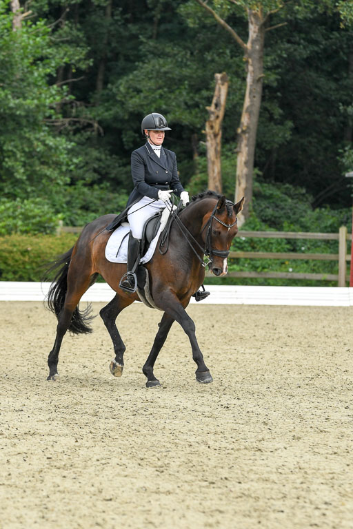 Anakenenhof    Dressur  25.08.2023 | Anakenenhof Prfg 1_062 