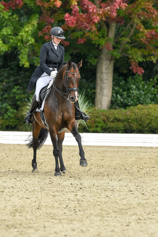 Anakenenhof    Dressur  25.08.2023 | Anakenenhof Prfg 1_065 