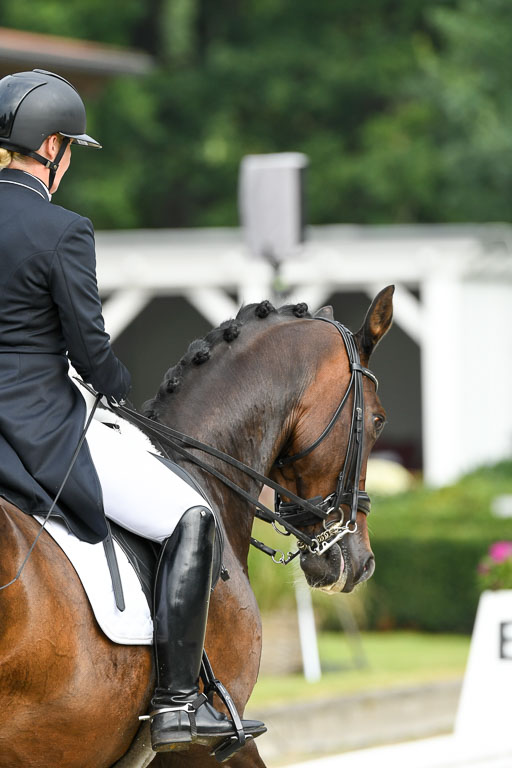 Anakenenhof    Dressur  25.08.2023 | Anakenenhof Prfg 1_068 