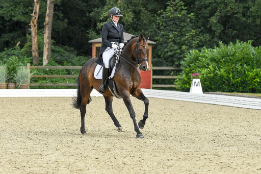 Anakenenhof    Dressur  25.08.2023 | Anakenenhof Prfg 1_069 