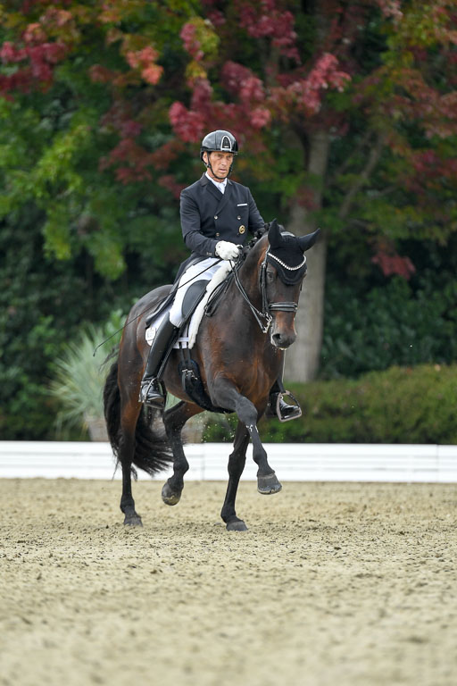 Anakenenhof    Dressur  25.08.2023 | Anakenenhof Prfg 1_075 