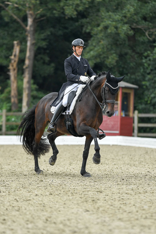 Anakenenhof    Dressur  25.08.2023 | Anakenenhof Prfg 1_076 