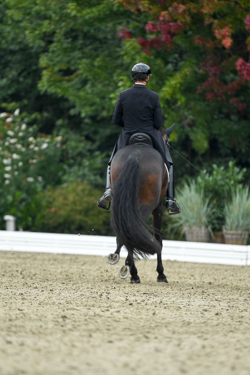 Anakenenhof    Dressur  25.08.2023 | Anakenenhof Prfg 1_079 