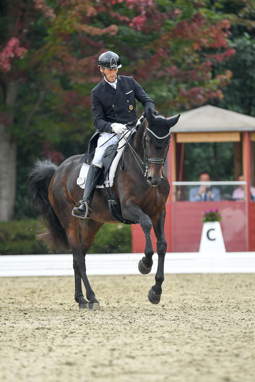 Anakenenhof    Dressur  25.08.2023 | Anakenenhof Prfg 1_082 