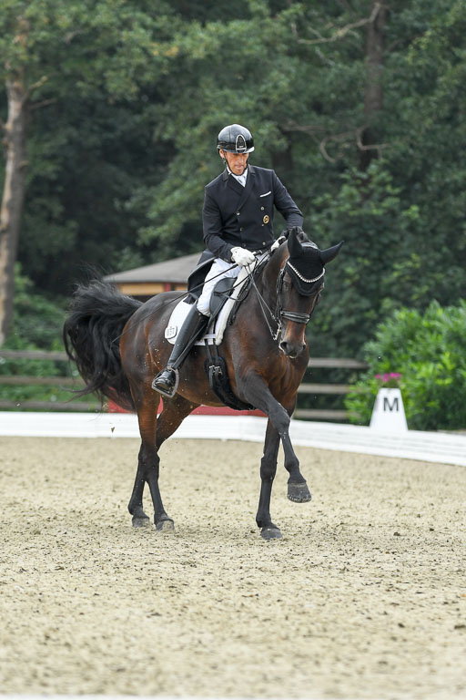 Anakenenhof    Dressur  25.08.2023 | Anakenenhof Prfg 1_083 