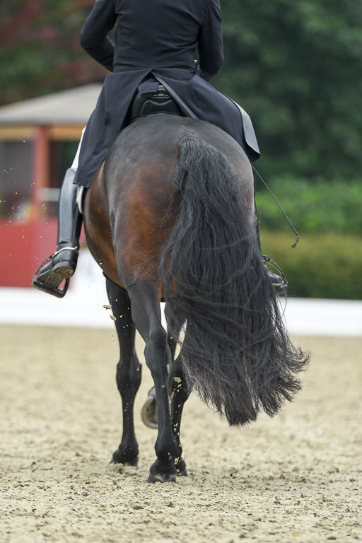 Anakenenhof    Dressur  25.08.2023 | Anakenenhof Prfg 1_087 