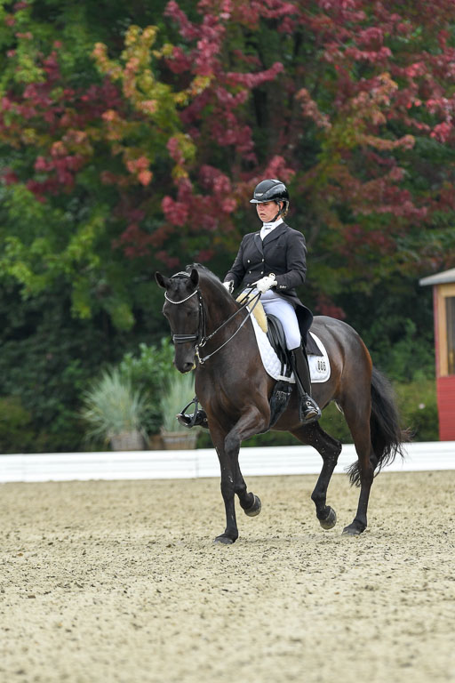 Anakenenhof    Dressur  25.08.2023 | Anakenenhof Prfg 1_091 