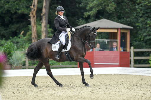 Anakenenhof    Dressur  25.08.2023 | Anakenenhof Prfg 1_097 