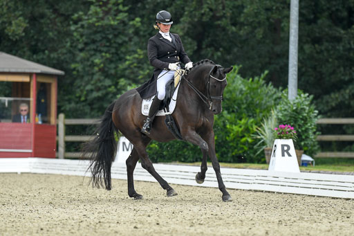 Anakenenhof    Dressur  25.08.2023 | Anakenenhof Prfg 1_099 