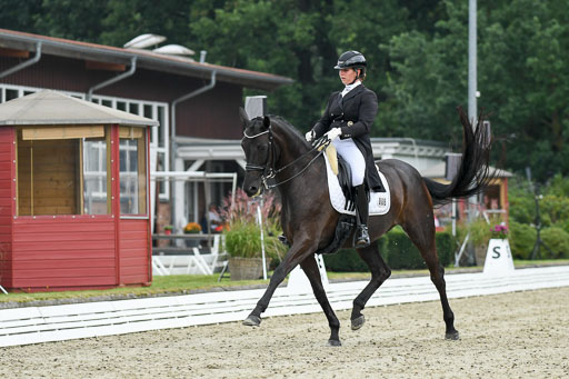 Anakenenhof    Dressur  25.08.2023 | Anakenenhof Prfg 1_104 