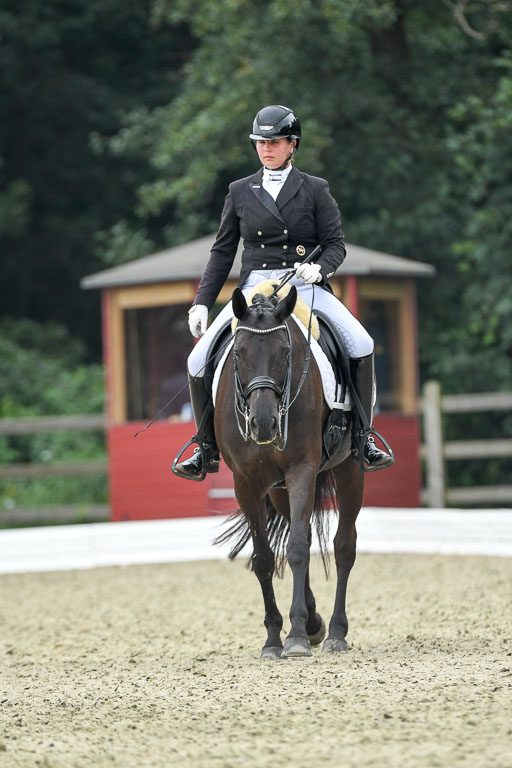 Anakenenhof    Dressur  25.08.2023 | Anakenenhof Prfg 1_118 