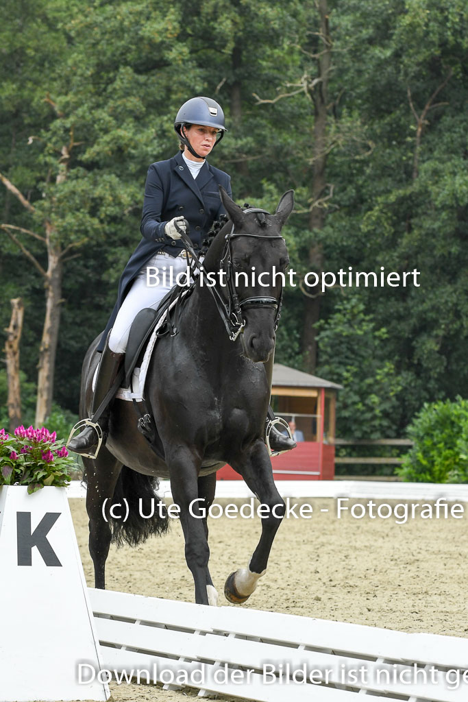 Anakenenhof    Dressur  25.08.2023 | Anakenenhof Prfg 2_022 
