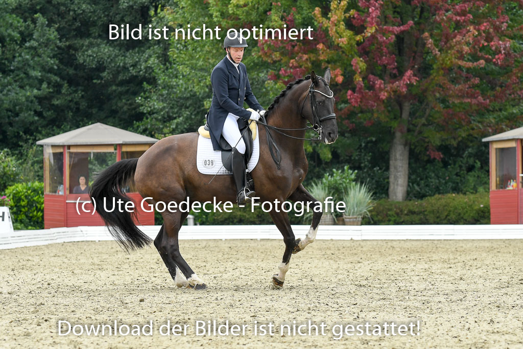 Anakenenhof    Dressur  25.08.2023 | Anakenenhof Prfg 2_118 