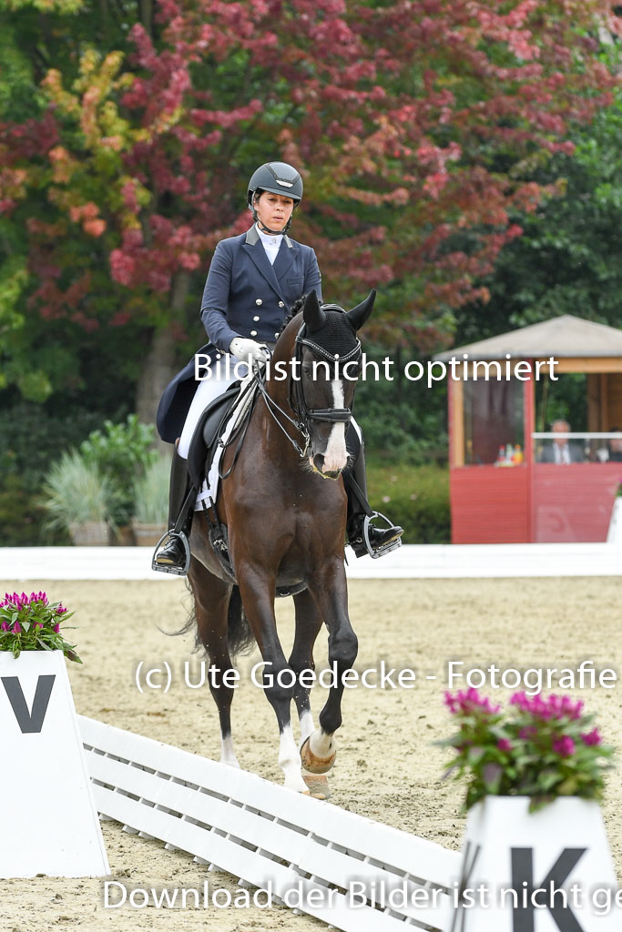 Anakenenhof    Dressur  25.08.2023 | Anakenenhof Prfg 2_163 