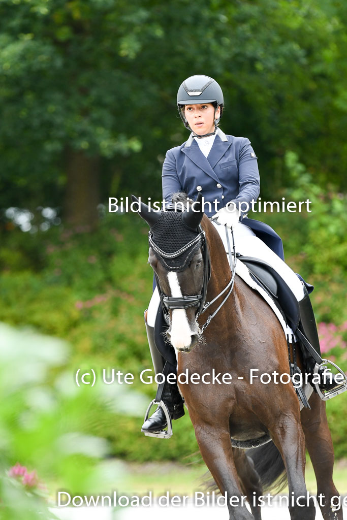 Anakenenhof    Dressur  25.08.2023 | Anakenenhof Prfg 2_172 