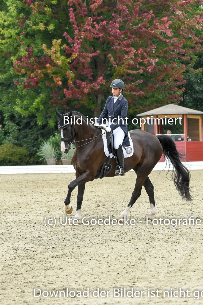 Anakenenhof    Dressur  25.08.2023 | Anakenenhof Prfg 2_178 