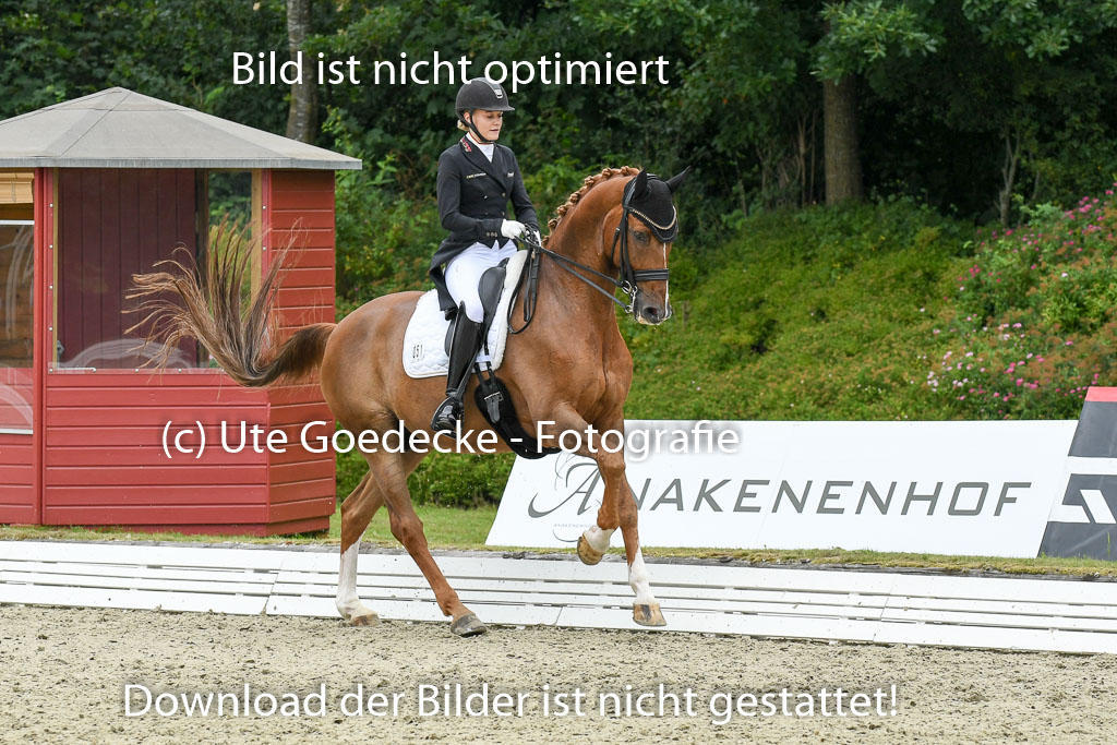 Anakenenhof    Dressur  25.08.2023 | Anakenenhof Prfg 2_189 
