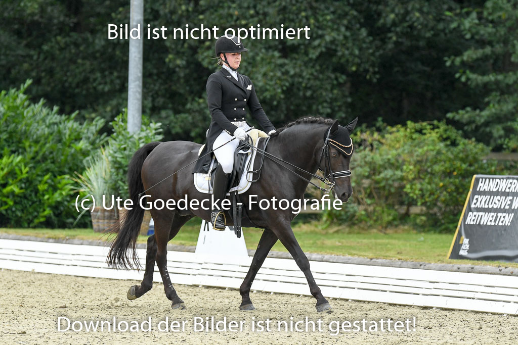 Anakenenhof    Dressur  25.08.2023 | Anakenenhof Prfg 2_238 