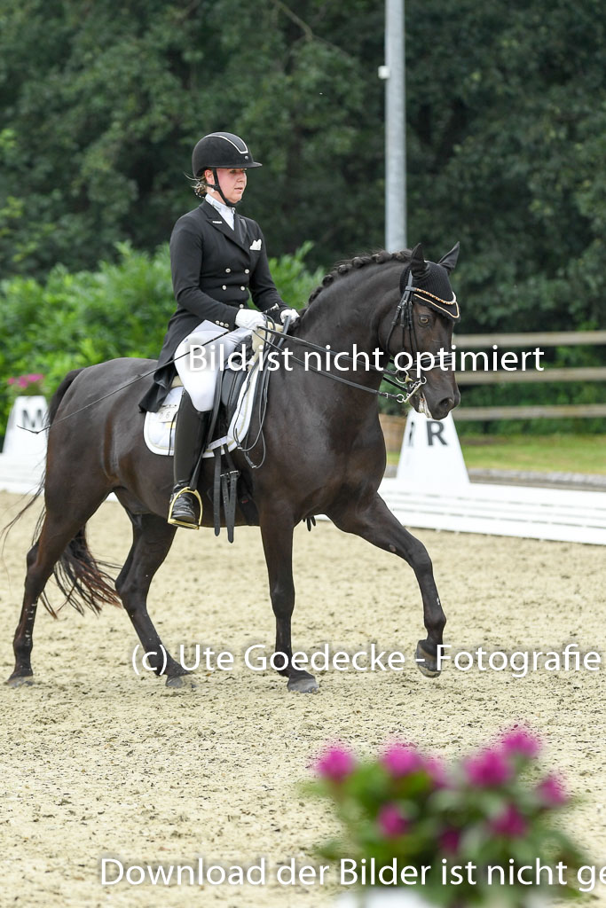 Anakenenhof    Dressur  25.08.2023 | Anakenenhof Prfg 2_247 