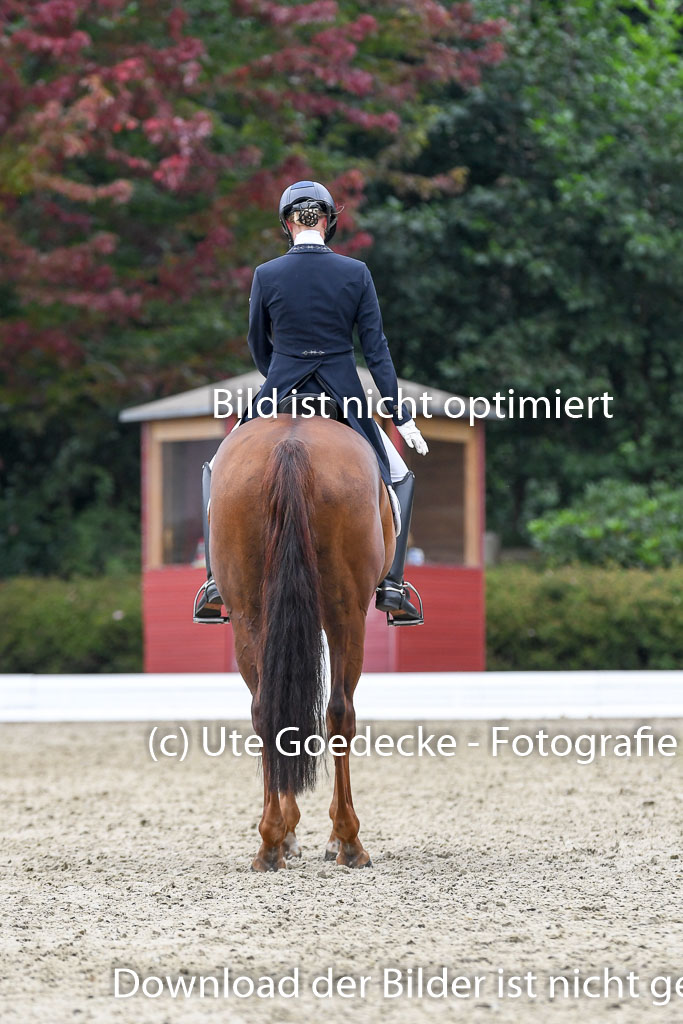 Anakenenhof    Dressur  25.08.2023 | Anakenenhof Prfg 2_308 