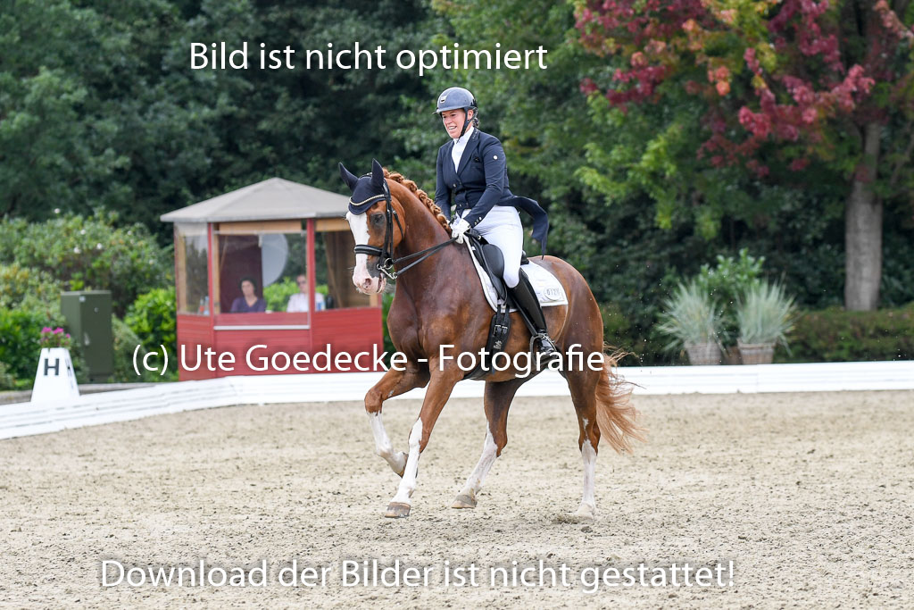 Anakenenhof    Dressur  25.08.2023 | Anakenenhof Prfg 2_400 