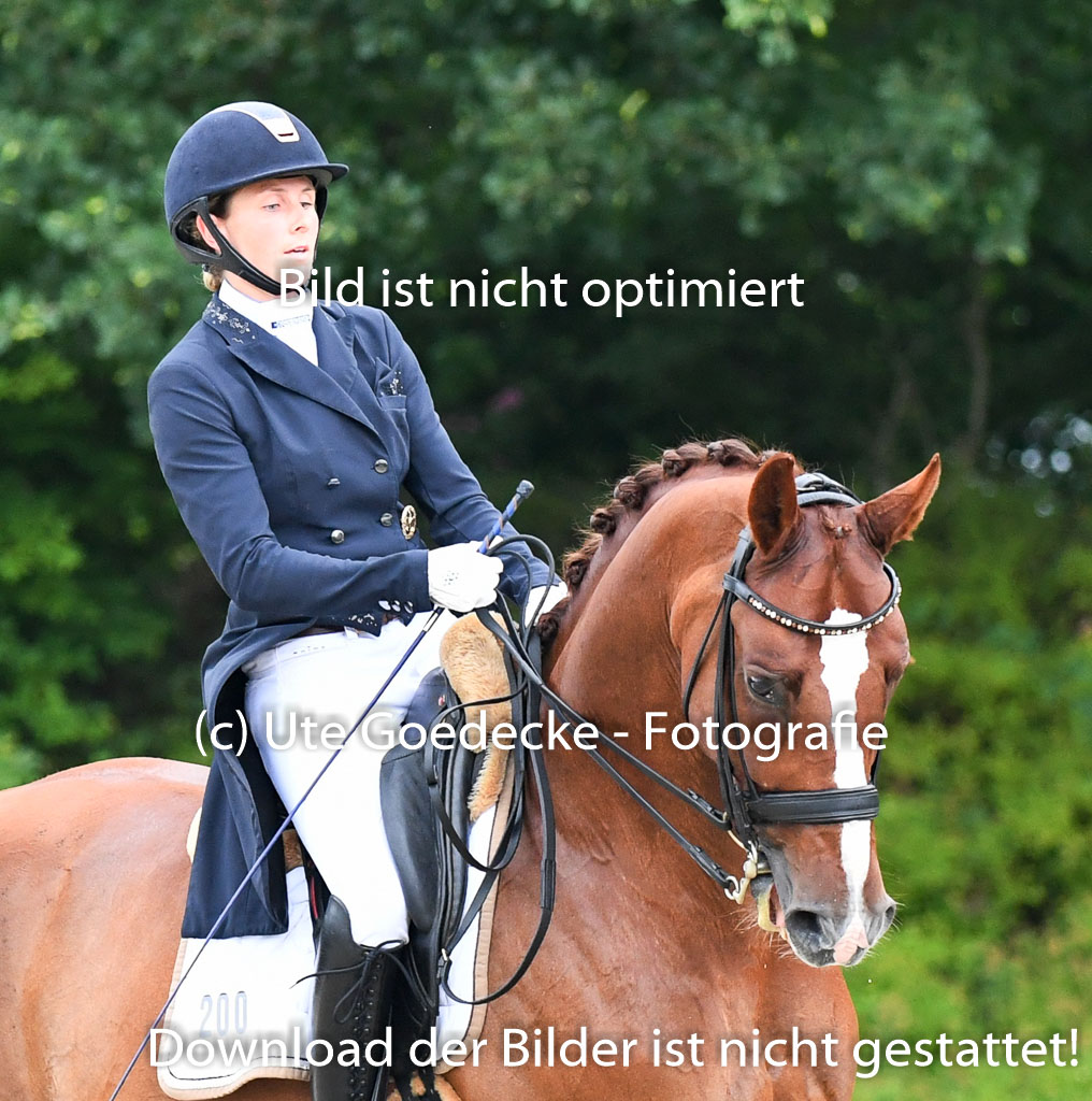 Anakenenhof Dressur 25.08.2023 | Anakenenhof Prfg 2_620