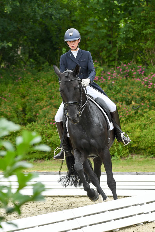 Anakenenhof    Dressur  25.08.2023 | Anakenenhof Prfg 2_015 