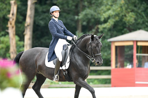 Anakenenhof    Dressur  25.08.2023 | Anakenenhof Prfg 2_020 