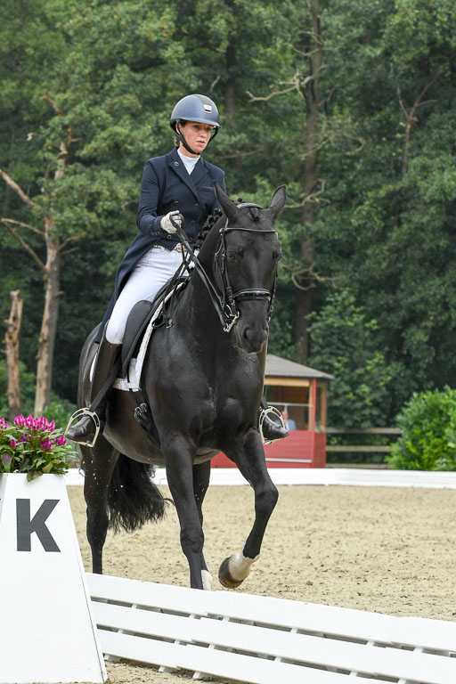 Anakenenhof    Dressur  25.08.2023 | Anakenenhof Prfg 2_022 