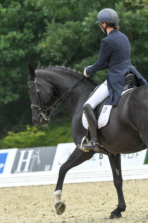 Anakenenhof    Dressur  25.08.2023 | Anakenenhof Prfg 2_023 