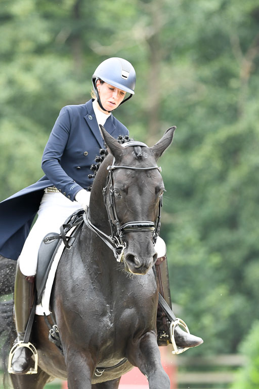 Anakenenhof    Dressur  25.08.2023 | Anakenenhof Prfg 2_026 