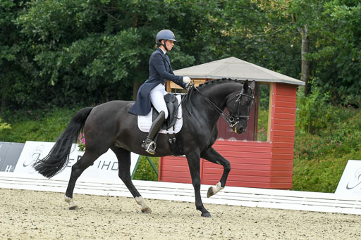 Anakenenhof    Dressur  25.08.2023 | Anakenenhof Prfg 2_028 