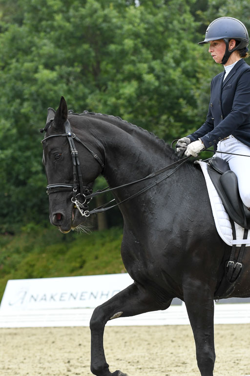 Anakenenhof    Dressur  25.08.2023 | Anakenenhof Prfg 2_029 