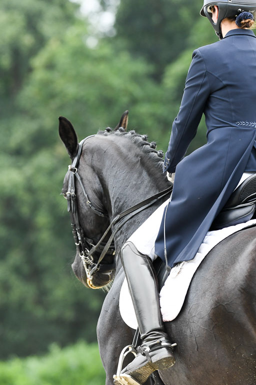 Anakenenhof    Dressur  25.08.2023 | Anakenenhof Prfg 2_030 