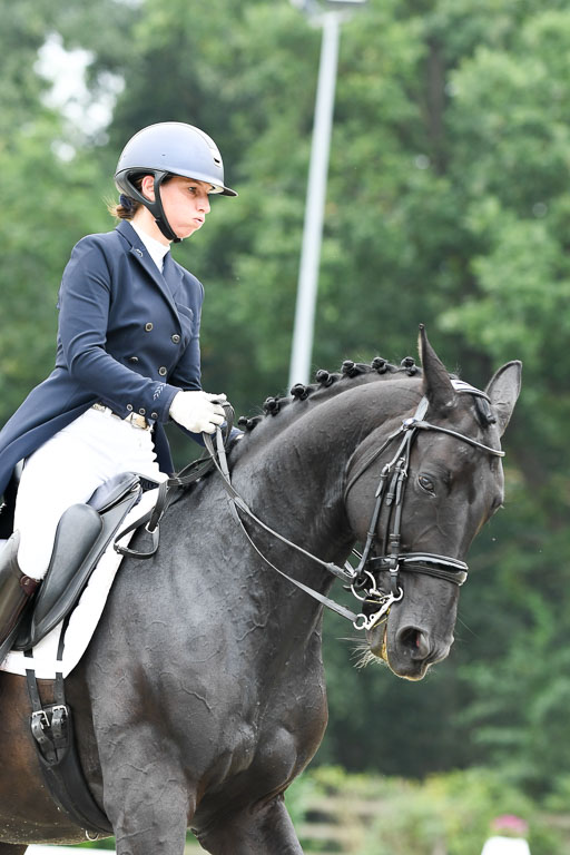 Anakenenhof    Dressur  25.08.2023 | Anakenenhof Prfg 2_033 