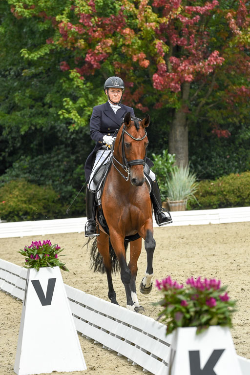 Anakenenhof    Dressur  25.08.2023 | Anakenenhof Prfg 2_038 