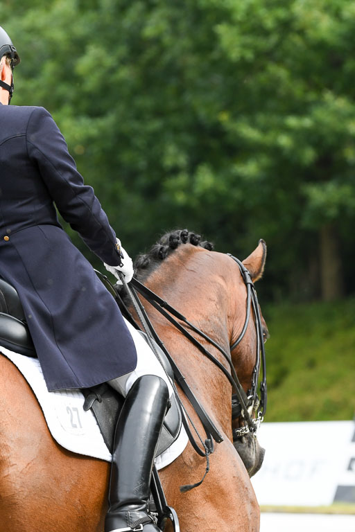 Anakenenhof    Dressur  25.08.2023 | Anakenenhof Prfg 2_041 