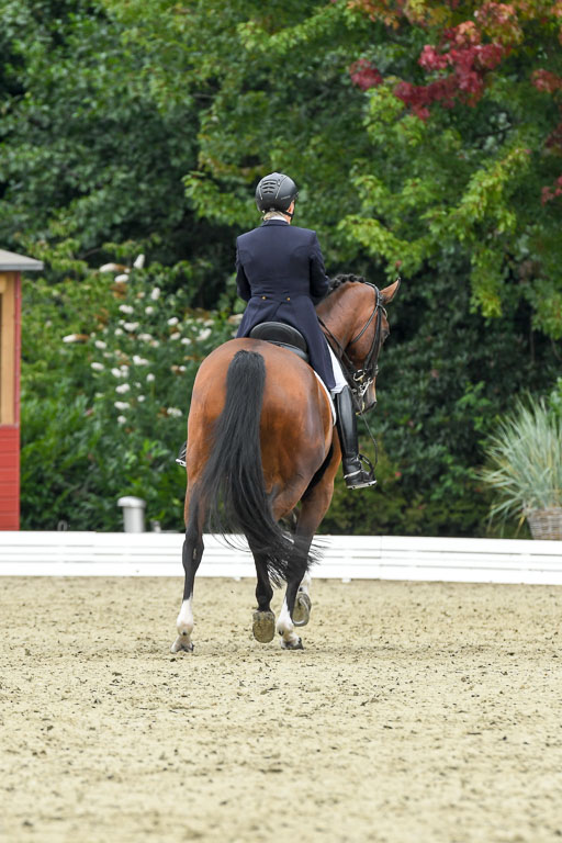 Anakenenhof    Dressur  25.08.2023 | Anakenenhof Prfg 2_046 