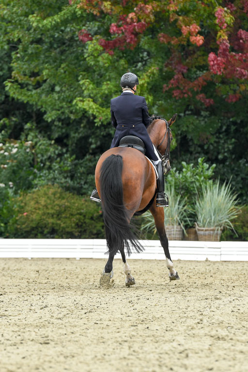 Anakenenhof    Dressur  25.08.2023 | Anakenenhof Prfg 2_047 
