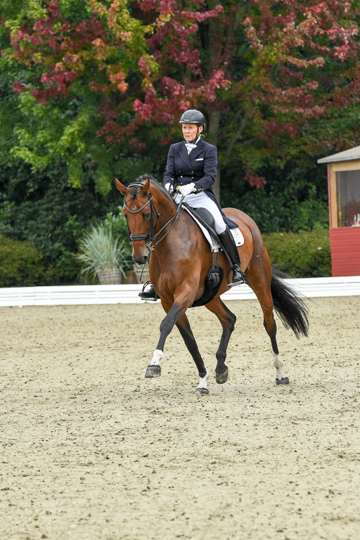 Anakenenhof    Dressur  25.08.2023 | Anakenenhof Prfg 2_048 