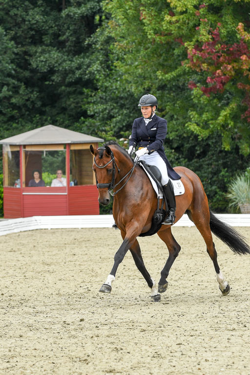 Anakenenhof    Dressur  25.08.2023 | Anakenenhof Prfg 2_049 