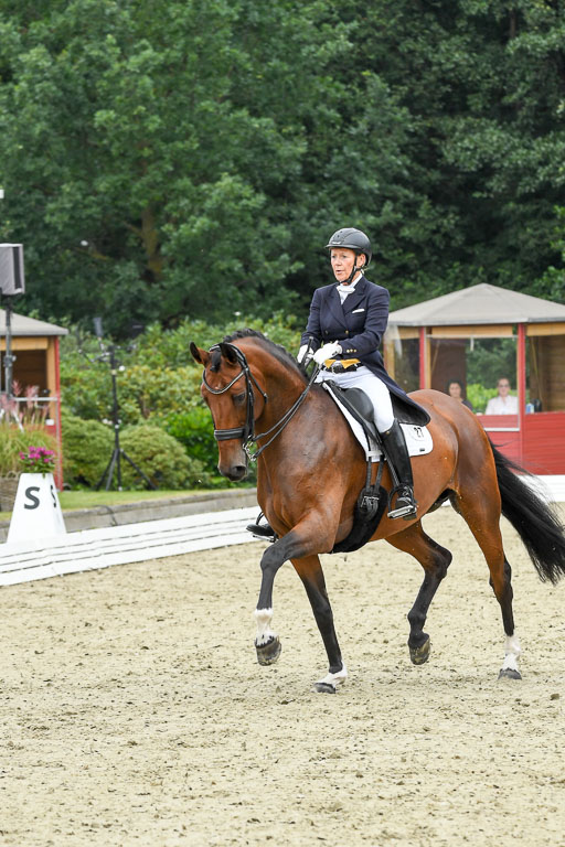 Anakenenhof    Dressur  25.08.2023 | Anakenenhof Prfg 2_050 