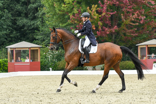 Anakenenhof    Dressur  25.08.2023 | Anakenenhof Prfg 2_053 