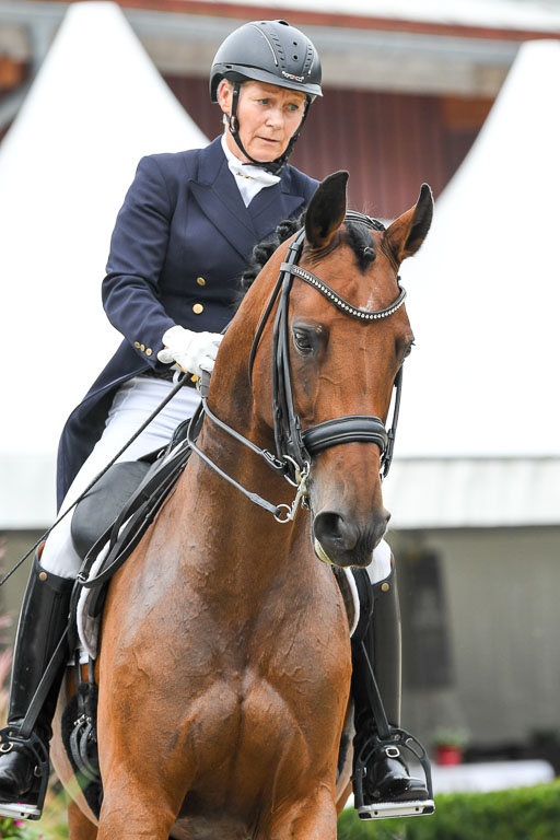 Anakenenhof    Dressur  25.08.2023 | Anakenenhof Prfg 2_055 