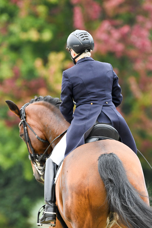 Anakenenhof    Dressur  25.08.2023 | Anakenenhof Prfg 2_056 