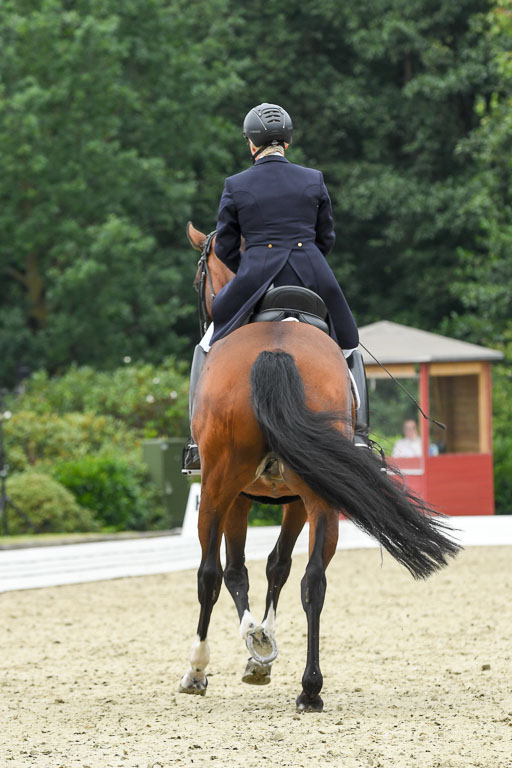 Anakenenhof    Dressur  25.08.2023 | Anakenenhof Prfg 2_057 